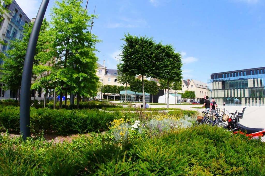 Chartres Coeur De Ville, Beau 2 Pieces Chaleureux Et Lumineux,Parking Et Wifi ! エクステリア 写真